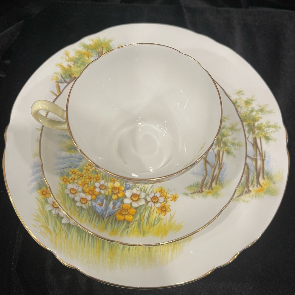 Shelley Teacup, Saucer and 8 inch Luncheon Plate.